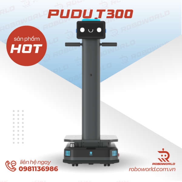 T300