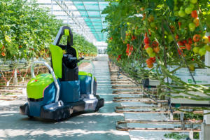 Robot hoạt động trong nhà kính giúp tối ưu chăm sóc cây trồng trong môi trường kiểm soát