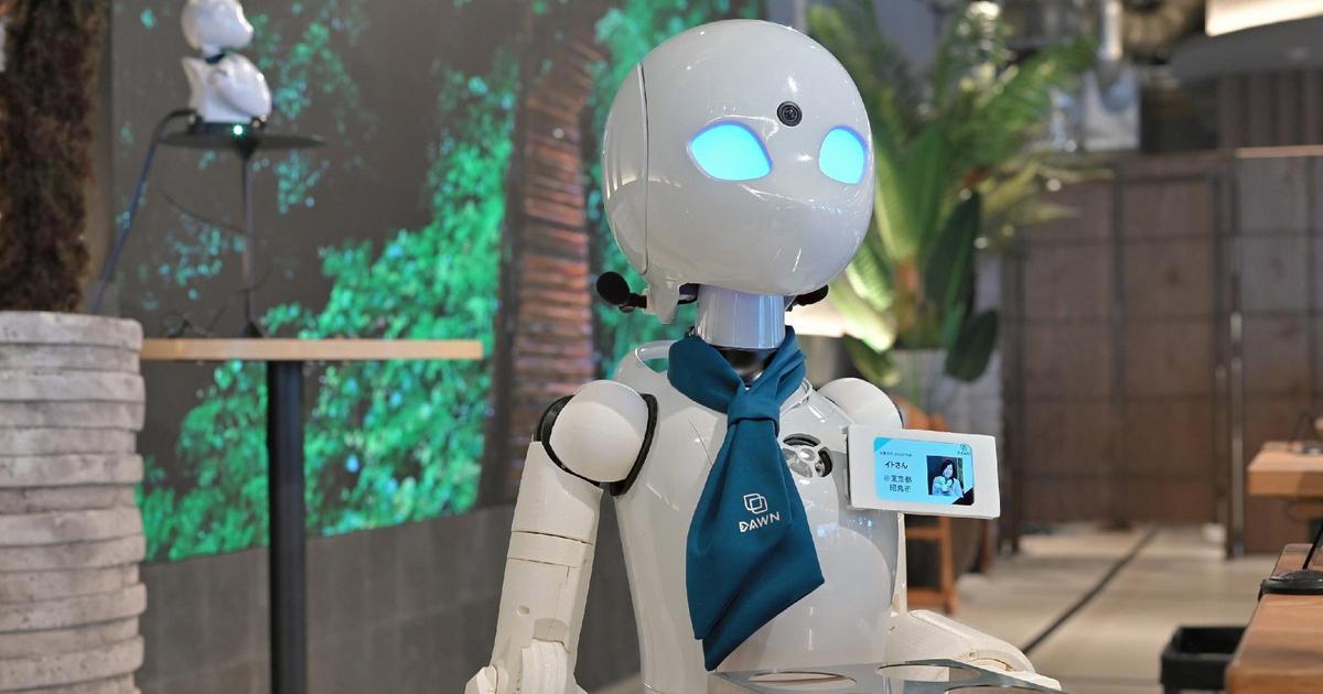 robot phục vụ điều khiển từ xa OriHime tại quán DAWN Tokyo